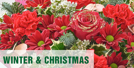 Christmas Flowers Bridgwater