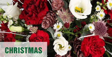Christmas Flowers Bridgwater